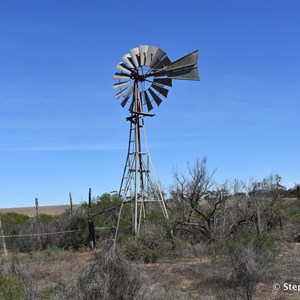 Nildottie Steam Pump