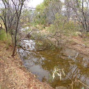 Nicker Creek