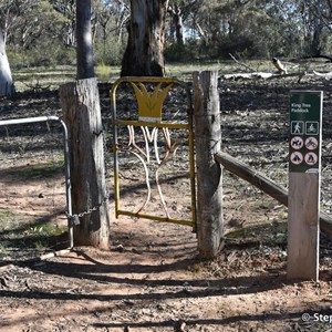 Wirrabara Forrest King Tree