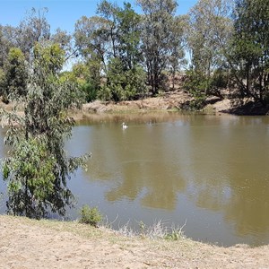 Gum Flat Reserve