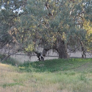  Darling River