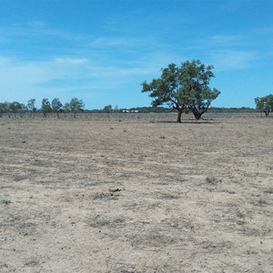 Dunlop shearingshed