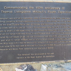 Plaque