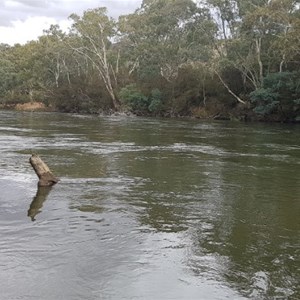 Goulburn River Trawool Reserve