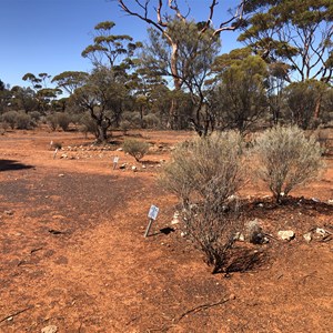 Kurnalpi Cemetery