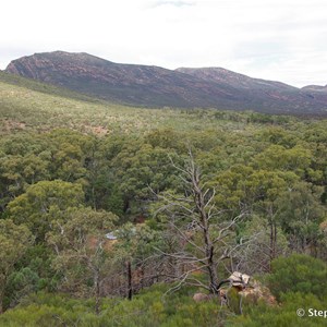 Wangarra Top Lookout