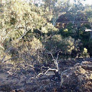 Powell Creek Camping Area