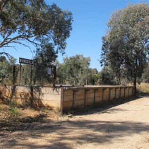 Bonegilla Siding