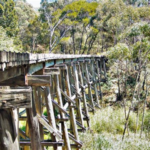 Boggy Creek Trestle