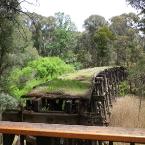 110 years old Oct 2025