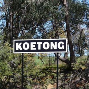 Koetong