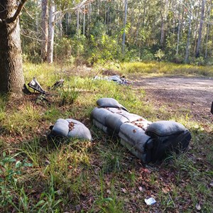 Old Forest Building Remains