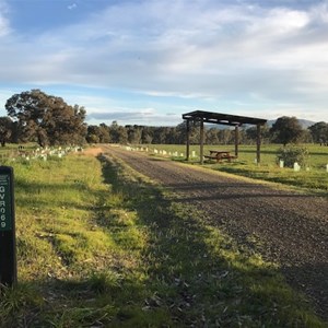 Picnic Shelter