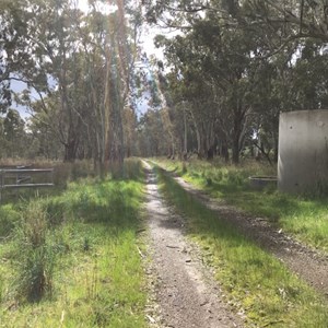 Merton horse yards & service track