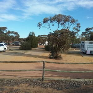 Wongan Hills Caravan Park