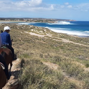 Trail rides via the bush to the beach