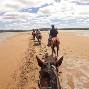Ride into the Murchison River