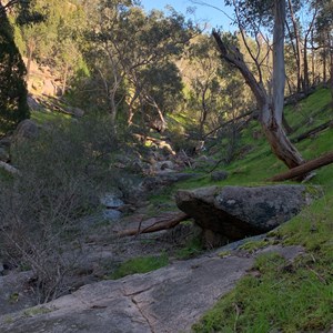 Barry Falls