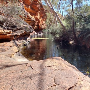 Kings Canyon Waterhole