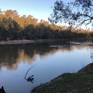 Camp1 Murrumbidgee Valley National Park