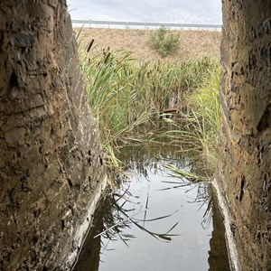 The Spiky Bridge