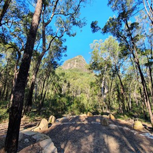 Mount Tibrogargan Trail Head