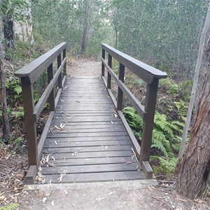 Mount Tibrogargan Trail Head