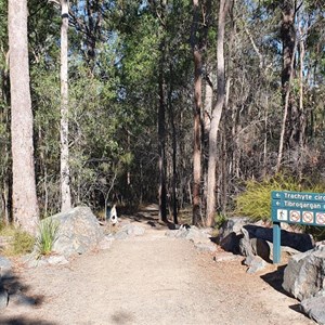 Signs and the start of the walks