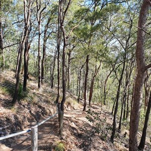 Path near the turn to the main climb