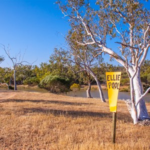 Ellies Pool