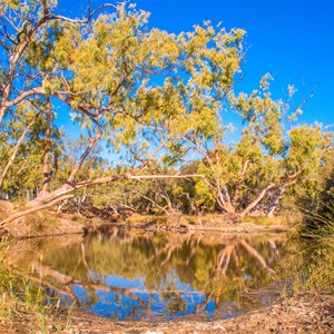 Around Ellies Pool