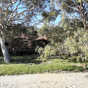 Lush places fringe the dry creek bed