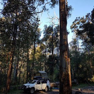 Murphy's Glen Campsite