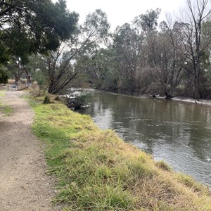 Kiewa River Walking Track