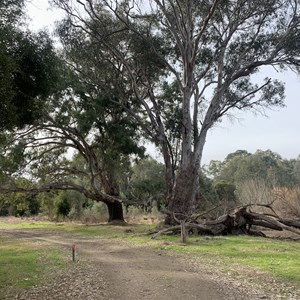 Kiewa River Walking Track