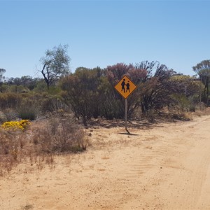 Trayning Gnamma Holes