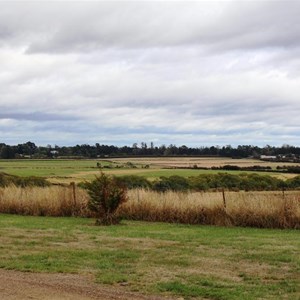 Farmland adjacent to Woolmers Estate