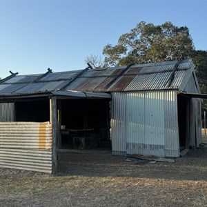 Mount Britton Abandoned Gold Mining Town