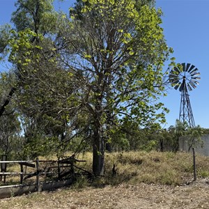 Moon Light  Dam