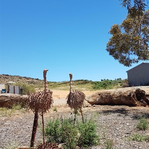 Emus
