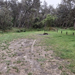 Bin Beach Camp
