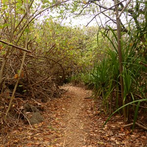 The Grotto track