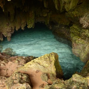 The Grotto 