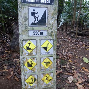 Winifred Beach track