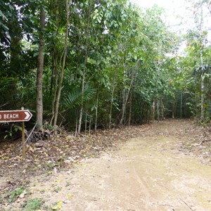Winifred Beach track