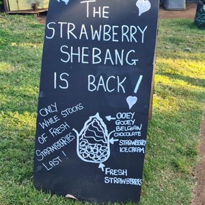Tinaberries Farm