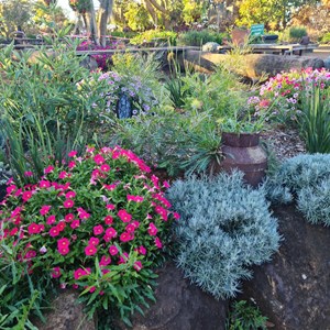 Tinaberries Farm