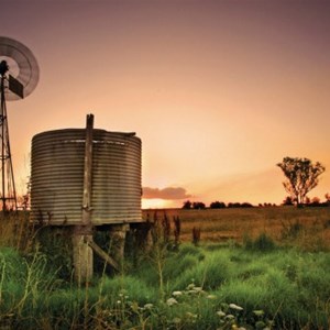 Darling Downs countryside