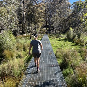 Cathedral Rock Track