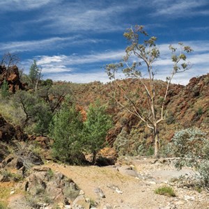 Balcanoona Creek at Weetootla Gorge Campground